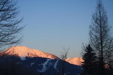 Отель Haus Franziskus