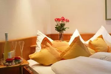 호텔 Pilgerhof Und Rebmannshof