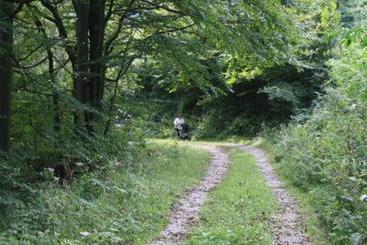 Отель Brandalm Huette