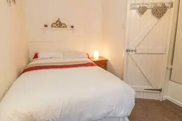 Mökkimajoitus Plas Arenig