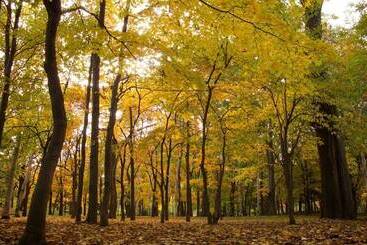 ホテル Camping Saint Paul