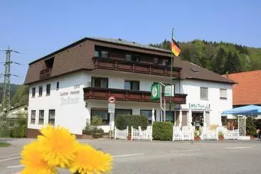 Hotel Gasthof Zur Traube