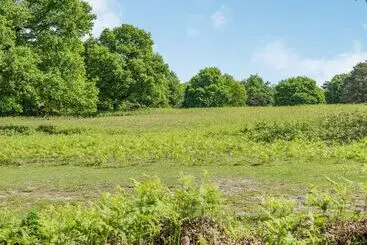 コテージ Endymion