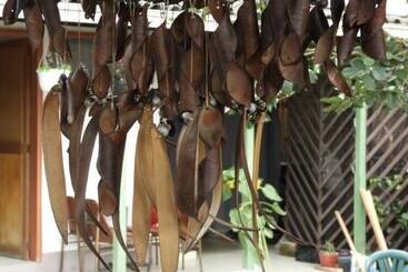 פנסיון Seeds & Roots Raíces Y Semillas