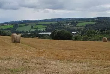 Hus på landet The Meadow