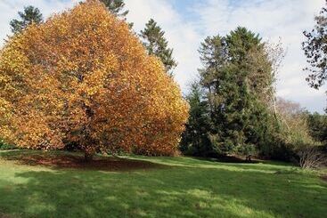Dom wiejski The Hayloft
