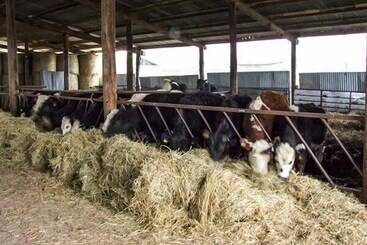 コテージ The Old Byre