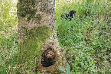 コテージ Bullace Barn