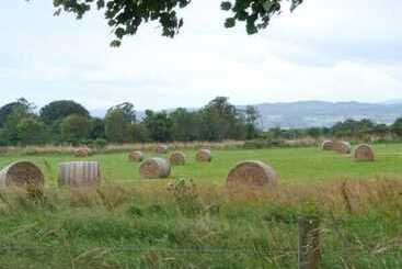 קוטג'' The Croft House