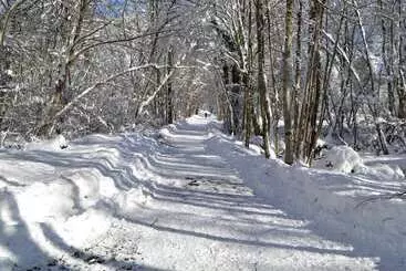 Bed and Breakfast Chambres D Hôtes   La Clé Des Bois