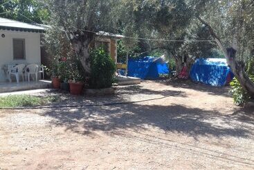 Bed and Breakfast Mini Bufe Pansiyon