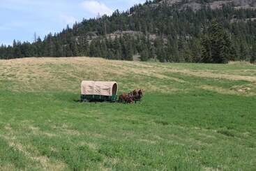 Landhotel Yd Guest Ranch