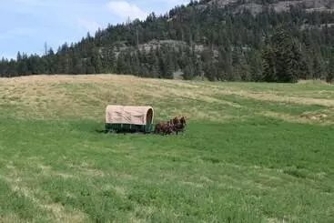 Maaseutuhotelli Yd Guest Ranch