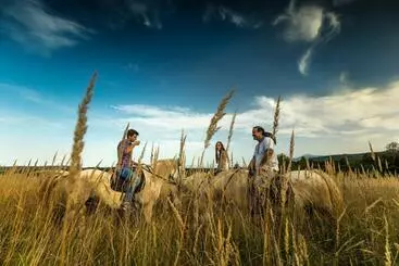 Majatalo Ranch Terra