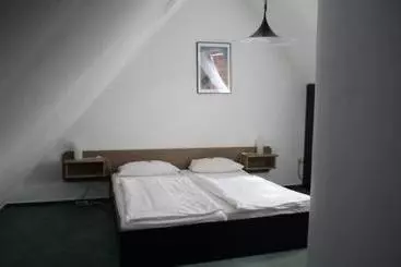 Отель Mainzer Hof