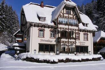 펜션 B&b Steinasäge