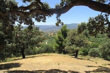 Bed and Breakfast Casa Laibon