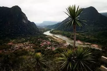 Pensión 8771581