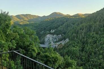 膳宿费 Pollino S Room