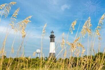 Apartamenty turystyczne Surf Shack