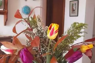 Aamiaismajoitus (B&B) In Vino Veritas