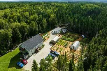 Upper Humber Settlement A Farmstay B&b