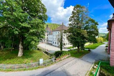 Traumhafte Luxuriöse Ferienwohnungen Im Wunderschönen St. Blasien