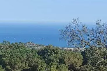 Turistihuoneistot Apartamentos Can Bruguera 3