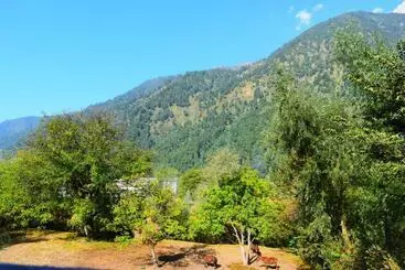 Turist apartmanları Oyo Home 84691 Homestay Rashid Wani