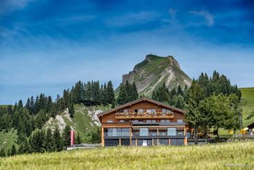 هتل Walisgaden Superior