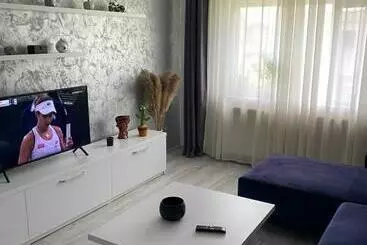 Tourist flats Alesandru Apartament