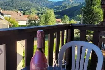ツーリストアパートメント Appartement Chaleureux Au Cœur Des Hautes Vosges