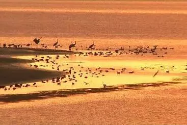 ツーリストアパートメント Appt Spacieux Et Lumineux Pour 6 Pers