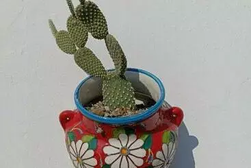 ツーリストアパートメント Fichi D India