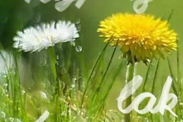 Turistihuoneistot Pitypang Lak