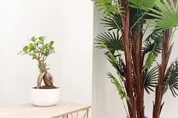 ベッドアンドブレックファースト Home Sicily