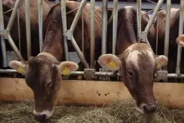 Cabane Bauernhof Oberhauser Maria U. Markus