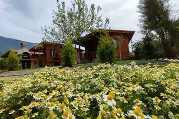 هتل آپارتمان Hurmalik Sweet Homes   Family Bungalows   Large Garden Bungalow With Barbecue