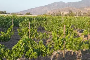 Aamiaismajoitus (B&B) Casa Entrevez