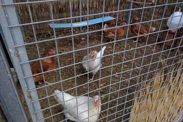 Apartamentos turísticos Sunset Hues  Enjoy Peace & Nature