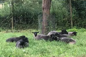 Turist apartmanları Cottage On Unique Farm