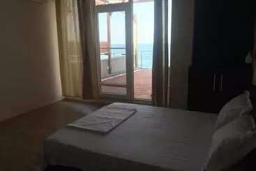 Pension Vila Brandusa