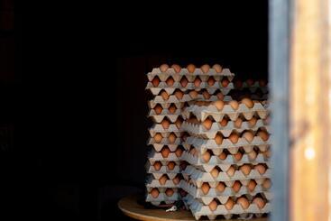 شقق خاصة سياحية Blou Porselein Guestfarm