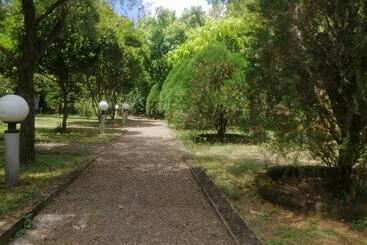 Nocleg ze śniadaniem Jungle Nature Villa