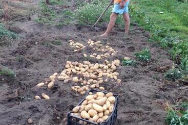 B&b Al Salvatore Di Lipari
