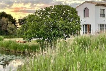 Bed and Breakfast Mas Du Couvin, Maison D Hôtes En Camargue