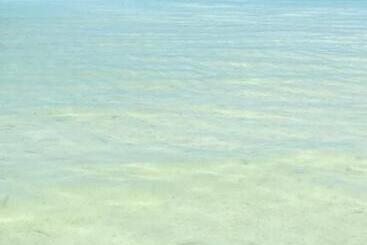 Casa Hridaya Hotel Boutique