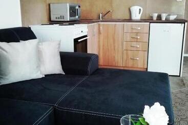 هتل آپارتمان Apartmány U Stříbrných