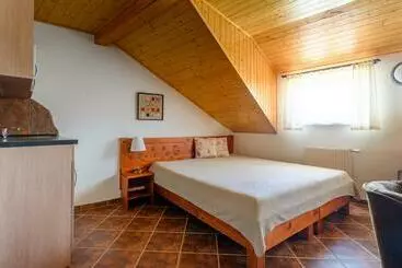 ペンション Penzion U Tří Růží