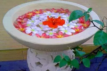 Bed and Breakfast Sweet Homestay